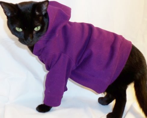 Выкройка одежды для кошек Донских Сфинксов: Универсальная выкройка. Как сшить одежду для кота своими руками