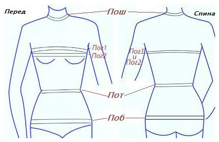 Как Правильно Снять Мерки Фото